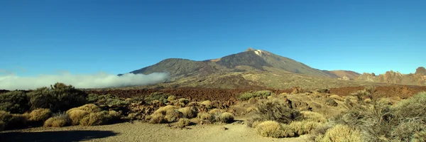 Teide, Tenerife — Stock Photo, Image