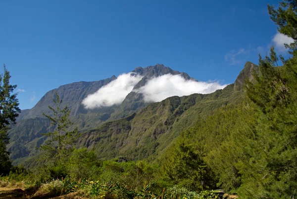 Randonnée à la Réunion — Photo