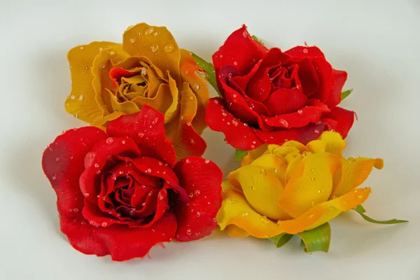 Quatro rosas — Fotografia de Stock