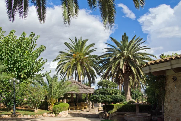 Oasis of peace — Stock Photo, Image