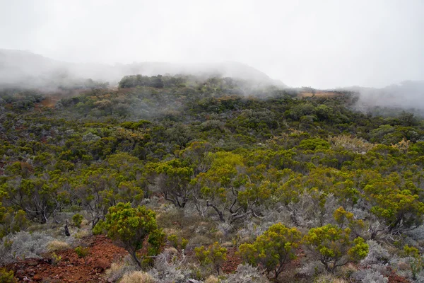 Nevoeiro se move sobre as montanhas — Fotografia de Stock