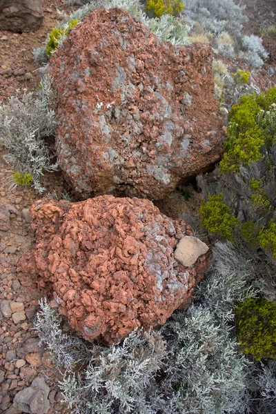 lav rock ayrıntılı