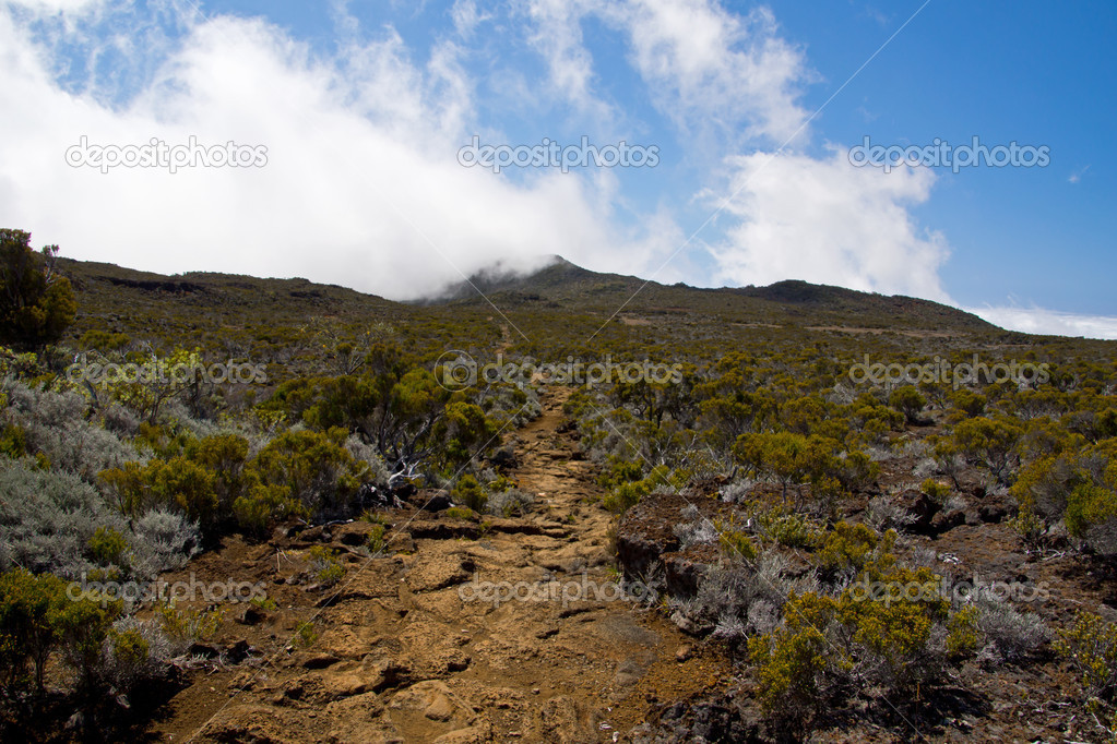 The path to the summit