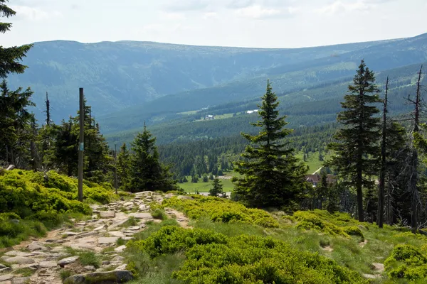 Wanderwege in den Bergen — Stockfoto