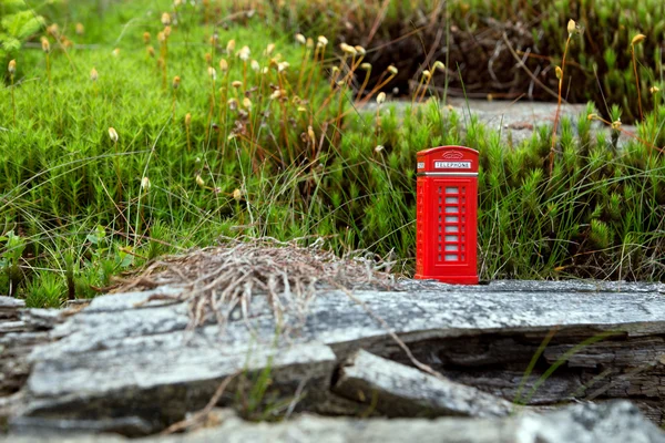 Telefonkiosk i mossan — Stockfoto