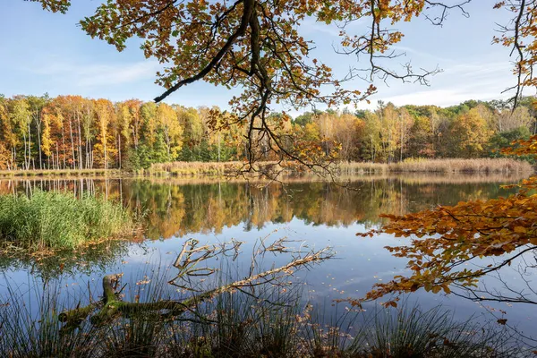 Paisaje Del Parque Otoño Con Lago Hermoso Paisaje — Foto de Stock