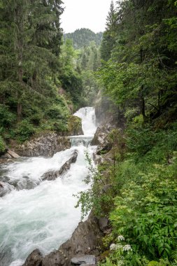 Groppensteinschlucht 'daki şelale nehri. Carinthia 'da. Avusturya