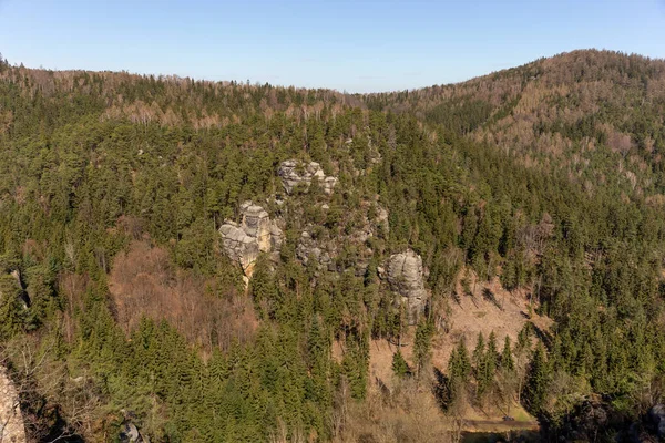 View Sandstone Cliffs Coniferous Forest Zittau Mountains Saxony Germany — Foto de Stock