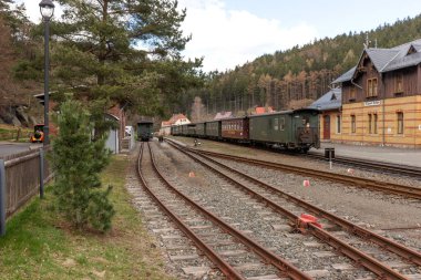Oybin kaplıca kasabasındaki tarihi tren istasyonu. Saksonya. Almanya