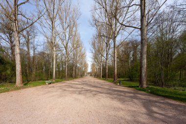 Parktaki bulvarda boş bir patika var. Bahar