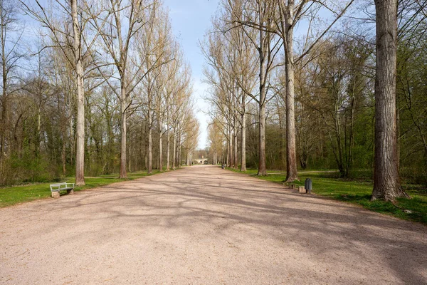 Parktaki bulvarda boş bir patika var. Bahar