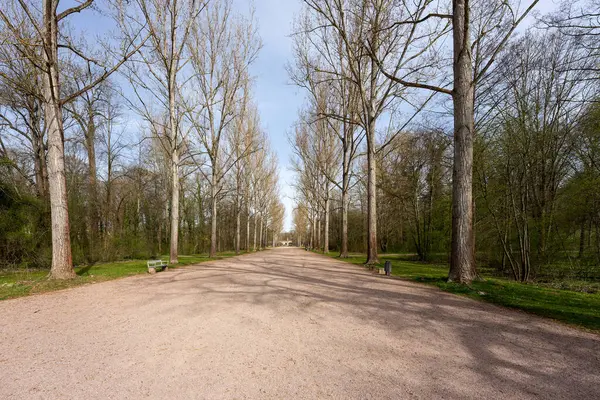 Parktaki bulvarda boş bir patika var. Bahar