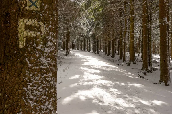 Winter Hiking Trail Thuringian Forest — Fotografia de Stock
