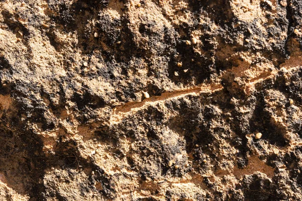Texture Sandstone Stone Scratches Cracks Closeup — Fotografia de Stock