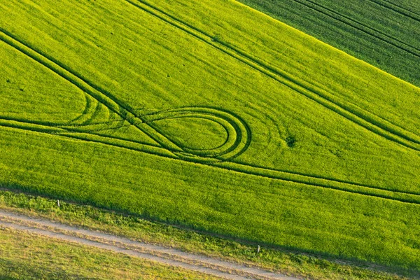 Vihreä Kenttä Kaistoilla Keväällä Ylhäältä Maatalouden Tausta — kuvapankkivalokuva