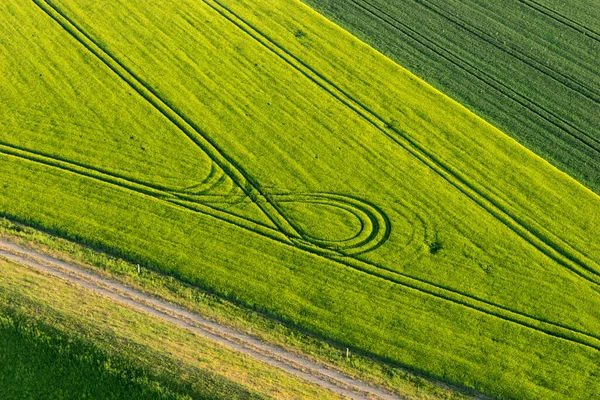 Campo Verde Com Pistas Primavera Cima Fundo Agrícola — Fotografia de Stock