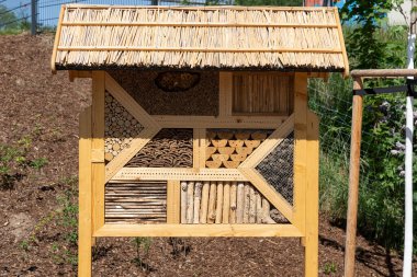 Böceklerin kışı geçirmesi için büyük bir otel