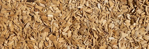 Wood Chips Texture Panoramic Wooden Background Immagine Stock