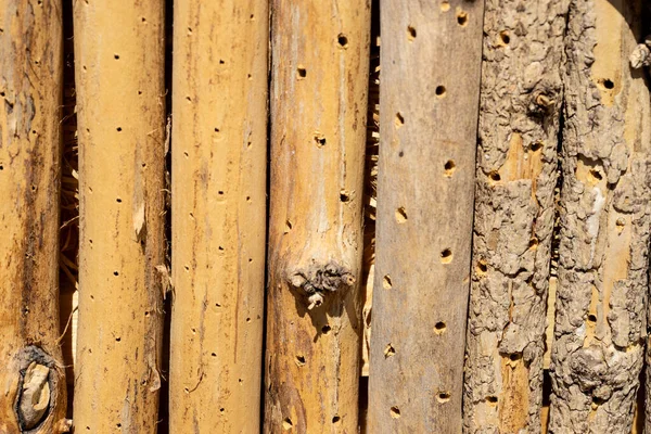 Closeup Shelter Insects Made Wood Hotel Insects Overwinter — Stock Photo, Image