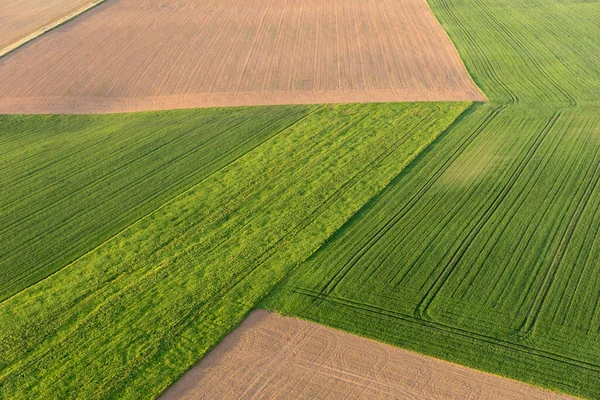 Baharda yeşil ve kahverengi tarlaların havadan görünüşü