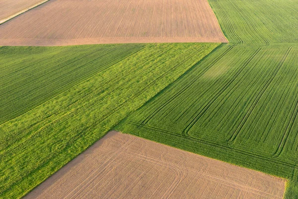 Aerial View Green Brown Fields Spring — Photo