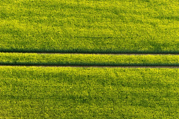 Geradeaus Auf Der Grünen Wiese Von Oben Luftaufnahme — Stockfoto