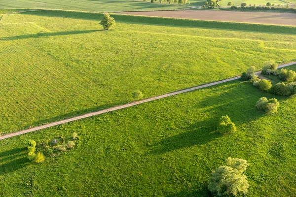 Flygfoto Över Fält Träd Och Stigar Våren — Stockfoto