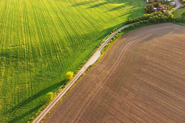 Ein Landwirtschaftlicher Weg Trennt Das Grüne Und Braune Feld Frühling — Stockfoto