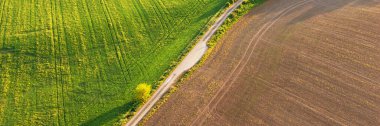 Hava görüntüsü. Panorama. Tarım yolu yeşil ve kahverengi alanları ayırır