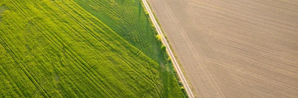 Aerial View Panorama Agricultural Path Divides Green Brown Field — Stock Photo, Image