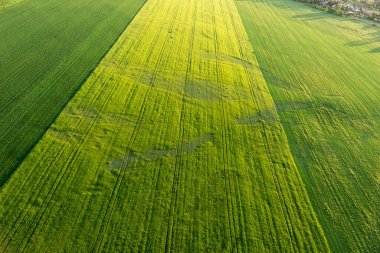 İlkbaharda alanların havadan görünümü