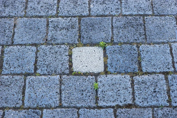 Granito Cinzento Pedras Pavimentação Quadradas — Fotografia de Stock