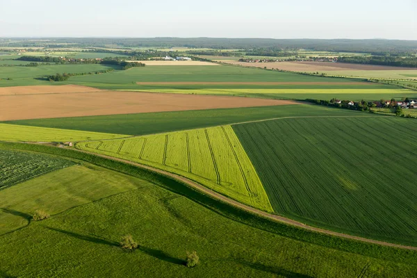 Agricultural Fields Spring — Stockfoto