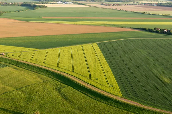 Campos Agrícolas Primavera Cima — Fotografia de Stock