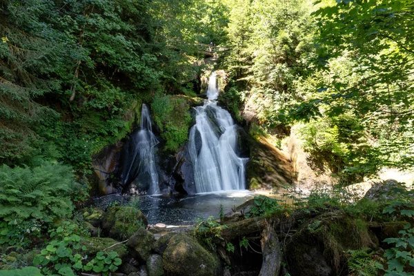 Part Triberg Waterfalls Highest Waterfalls Germany Long Exposure — Stock fotografie
