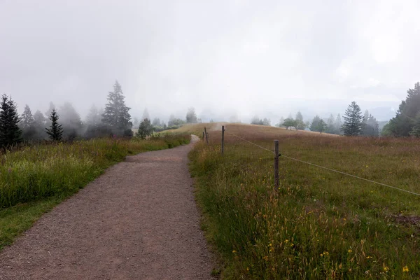 Vista Desde Montaña Kandel Selva Negra Por Mañana Con Niebla —  Fotos de Stock