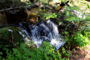 Ağaçların arkasına gizlenmiş dar şelale.