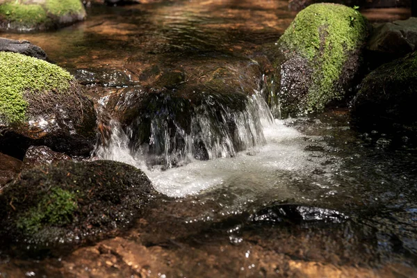 Water Flows Stones Green Moss Forest — Fotografia de Stock