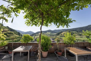 Terastan Glottertal manzarası. Kara Orman. Almanya