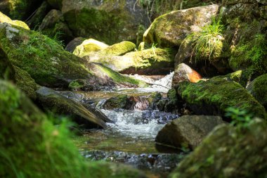 Stones with moss and grass in flowing water