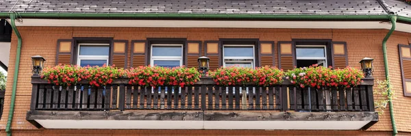 Lang Balkon Versierd Met Prachtige Bloeiende Potplanten Zonnige Dag Panorama — Stockfoto