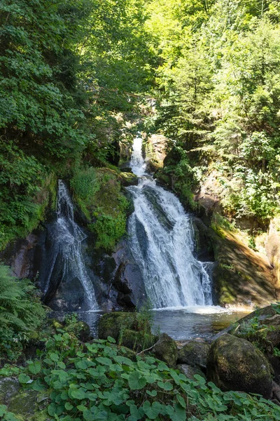 Parte Las Cascadas Triberg Las Cataratas Más Altas Alemania —  Fotos de Stock