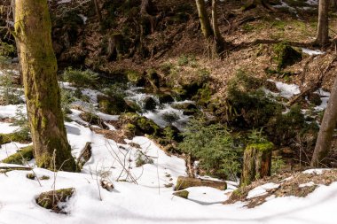 İlkbaharda karlı ormanın yanındaki dağ nehri