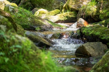 Akıp giden sularda yosun olan yakın taşlar.