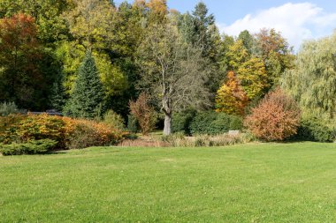 Parkta gün ışığında güzel bir sonbahar günü