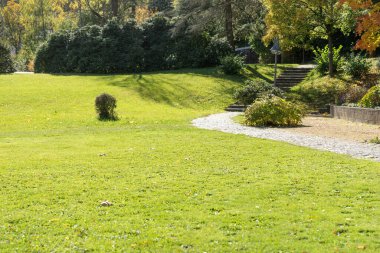 Parkta gün ışığında güzel bir sonbahar günü