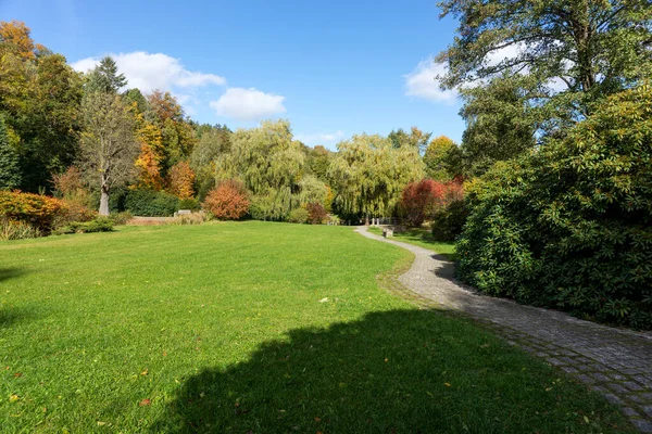 Schöner Herbsttag Park Bei Sonnenschein — Stockfoto