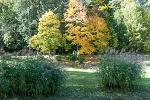 Piękny Jesienny Dzień Parku Słońcu — Zdjęcie stockowe