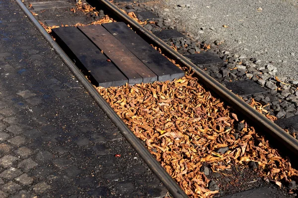 Ferrocarriles Viejos Con Hojas Otoño — Foto de Stock