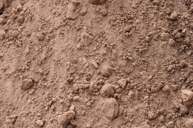 Bitkiler için toprak. Toprak arkaplan